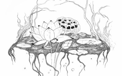 The Symbolic Lotus